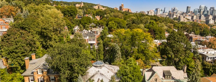 Historic homes and mature trees along a residential street in Westmount Montreal. Maisons historiques et arbres matures le long d’une rue résidentielle à Westmount Montréal.